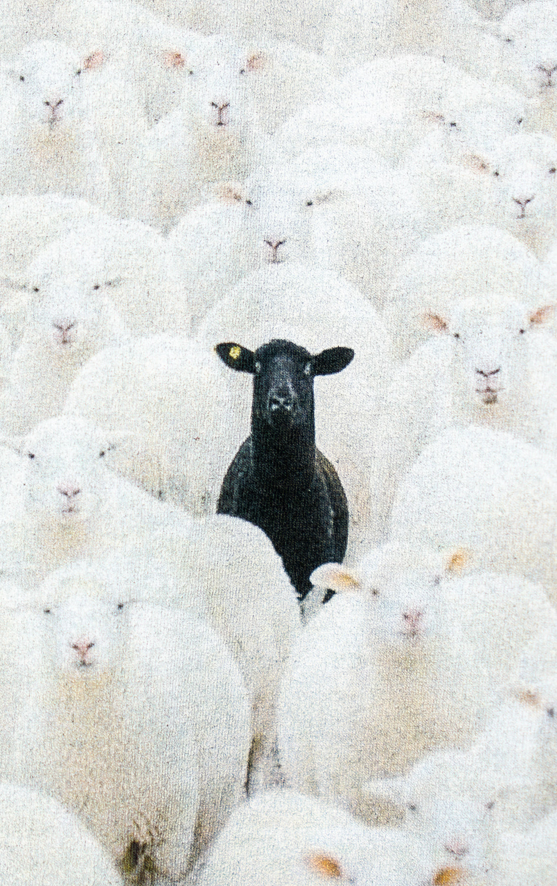 Black Sheep Tee Black