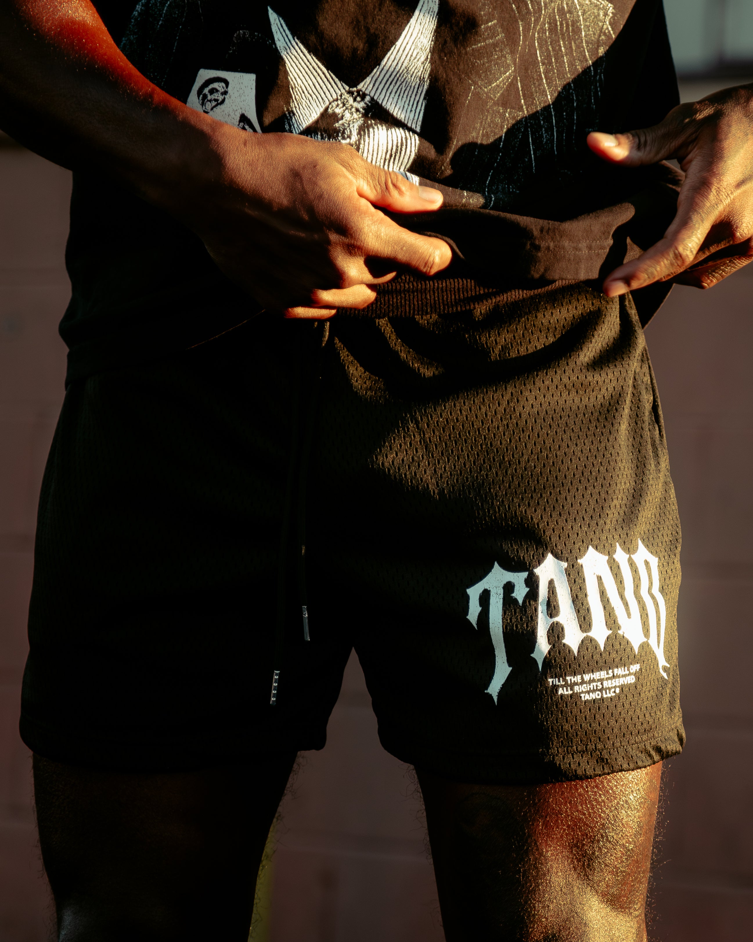 SMALL ARCH MESH SHORTS